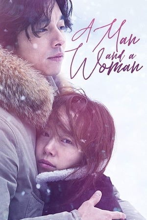 A Man and A Woman (2016) Dual Audio | Dubbed Hindi Movie BluRay 400MB
