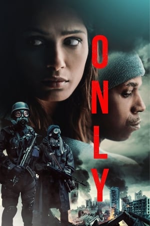 Only 2019 Dual Audio | Dubbed Hindi Movie Web-DL [900MB]