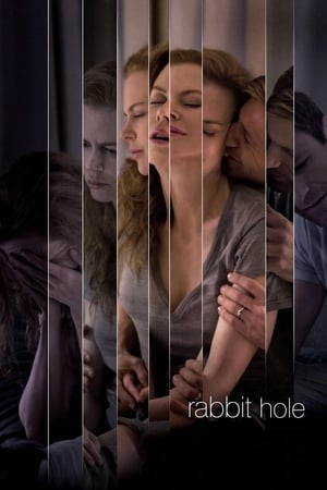 Rabbit Hole (2010) Dual Audio | Dubbed Hindi Movie BluRay [750MB] ESubs