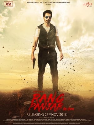 Rang Panjab (2018) Punjabi Movie | Dubbed Hindi Movie HDRip – [350MB]